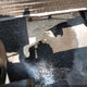 1FTRF12227KD22860 2007 Ford F-150 Stx/Xl/Xlt auction photo thumbnail 6