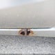 JM1DE1KZ9C0149337 2012 Mazda Mazda2 Sport auction photo thumbnail 6