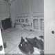 1FTBR1C84LKA54531 2020 Ford Transit-250 auction photo thumbnail 8