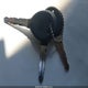 1D4HS38N93F583087 2003 Dodge Durango Sport/Sxt auction photo thumbnail 11