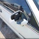 1G1BN53E6MW205607 1991 Chevrolet Caprice Classic Ltz auction photo thumbnail 13