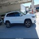 1C4PJMDX6KD134839 2019 Jeep Cherokee Limited 4X4 auction photo thumbnail 13