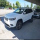 1C4PJMDX6KD134839 2019 Jeep Cherokee Limited 4X4 auction photo thumbnail 2