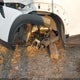 KL77LKEP1SC102039 2025 Chevrolet Trax Fwd Activ auction photo thumbnail 19