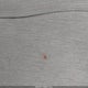 1HGCY1F39PA025062 2023 Honda Accord Ex auction photo thumbnail 11