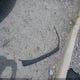 5NPD74LF3HH199760 2017 Hyundai Elantra Se auction photo thumbnail 12