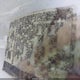 1N6DD26T44C424978 2004 Nissan Frontier Xe auction photo thumbnail 9