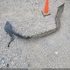 2FMTK3J92FBB00397 2015 Ford Edge Sel auction photo thumbnail 12