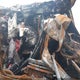 4V4NC9GH87N446413 2007 Volvo Vn Vnl auction photo thumbnail 5
