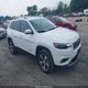 1C4PJMDX2LD591164 2020 Jeep Cherokee Limited 4X4 auction photo thumbnail 1