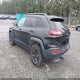 1C4PJMBSXGW141683 2016 Jeep Cherokee Trailhawk auction photo thumbnail 3