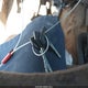 1B7MF33C1TJ175900 1996 Dodge Ram 3500 auction photo thumbnail 10