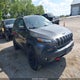1C4PJMBB5GW143518 2016 Jeep Cherokee Trailhawk auction photo thumbnail 1