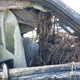 3GCPWCED6LG404298 2020 Chevrolet Silverado 1500 auction photo thumbnail 5
