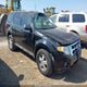 1FMCU93G99KA56868 2009 Ford Escape Xlt auction photo thumbnail 1
