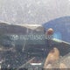 KNDJT2A54D7488139 2013 Kia Soul auction photo thumbnail 9