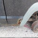 1J4FF27S2XL625210 1999 Jeep Cherokee Se auction photo thumbnail 6