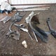 JN8AT2MT5LW041077 2020 Nissan Rogue Sv Fwd auction photo thumbnail 11