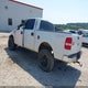 1FTPW14V68KB39557 2008 Ford F-150 60Th Anniversary/Fx4/King Ranch/Lariat/Xlt auction photo thumbnail 3