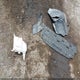 3N1AB8BV8RY218361 2024 Nissan Sentra S Xtronic Cvt auction photo thumbnail 12