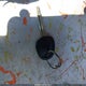 5NPDH4AE3FH570579 2015 Hyundai Elantra Se auction photo thumbnail 11