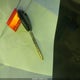 1HGCG3179YA027159 2000 Honda Accord 2.3 Ex auction photo thumbnail 11