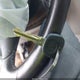 2G1WG5E34C1281257 2012 Chevrolet Impala Lt auction photo thumbnail 11