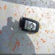 1FMDE7BH5RLA61186 2024 Ford Bronco Big Bend auction photo thumbnail 11