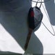 JTMBD31V076046007 2007 Toyota Rav4 Limited auction photo thumbnail 11