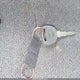 1GCEC14X94Z219504 2004 Chevrolet Silverado 1500 Work Truck auction photo thumbnail 11