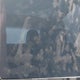 5YJ3E1EBXMF855651 2021 Tesla Model 3 Long Range Dual Motor All-Wheel Drive auction photo thumbnail 7