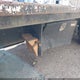 1FVHCYCY8GHHS0594 2016 Freightliner M2 106 Medium Duty auction photo thumbnail 11