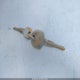 54DC4W1C3ES805396 2014 Isuzu Npr Gas Reg auction photo thumbnail 10