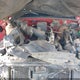 1GCEK14R3WZ273498 1998 Chevrolet K1500 Fleetside auction photo thumbnail 10