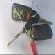 2HKRL18671H501016 2001 Honda Odyssey Ex auction photo thumbnail 11