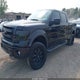 1FTFW1ET5DFD05644 2013 Ford F-150 Fx4 auction photo thumbnail 2