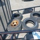 59N1U1010PB023175 2023 Triple R Sx10Sa2990 Frame auction photo thumbnail 8