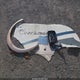 1F6LF53S340A05692 2004 Ford F550 Super Duty Stripped Chass auction photo thumbnail 12
