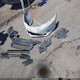 1HGCR2F34FA275195 2015 Honda Accord Lx auction photo thumbnail 12