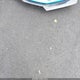 1G1FE1R75N0117896 2022 Chevrolet Camaro Lt1/Ss auction photo thumbnail 6