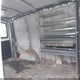 1GCFG15X451178626 2005 Chevrolet Express auction photo thumbnail 8