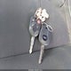 1FMCU0D75AKA32419 2010 Ford Escape Xlt auction photo thumbnail 11