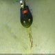 JN8AS5MV0AW121583 2010 Nissan Rogue S auction photo thumbnail 11