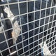1D4GP23E75B237533 2005 Dodge Grand Caravan Cv auction photo thumbnail 8