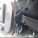 1FT7W2BT4DEA84560 2013 Ford F-250 Lariat auction photo thumbnail 11
