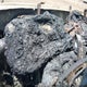 1FTFW1ET9BFC45039 2011 Ford F-150 Platinum auction photo thumbnail 7