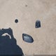 1C4PJMBX3LD583545 2020 Jeep Cherokee Trailhawk 4X4 auction photo thumbnail 12