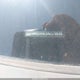 KMHDU4AD1AU179699 2010 Hyundai Elantra Gls auction photo thumbnail 9