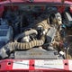 1FTYR14V3XPB84825 1999 Ford Ranger Xl/Xlt auction photo thumbnail 10