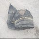 1FMCU9H94NUA44670 2022 Ford Escape Sel auction photo thumbnail 12
